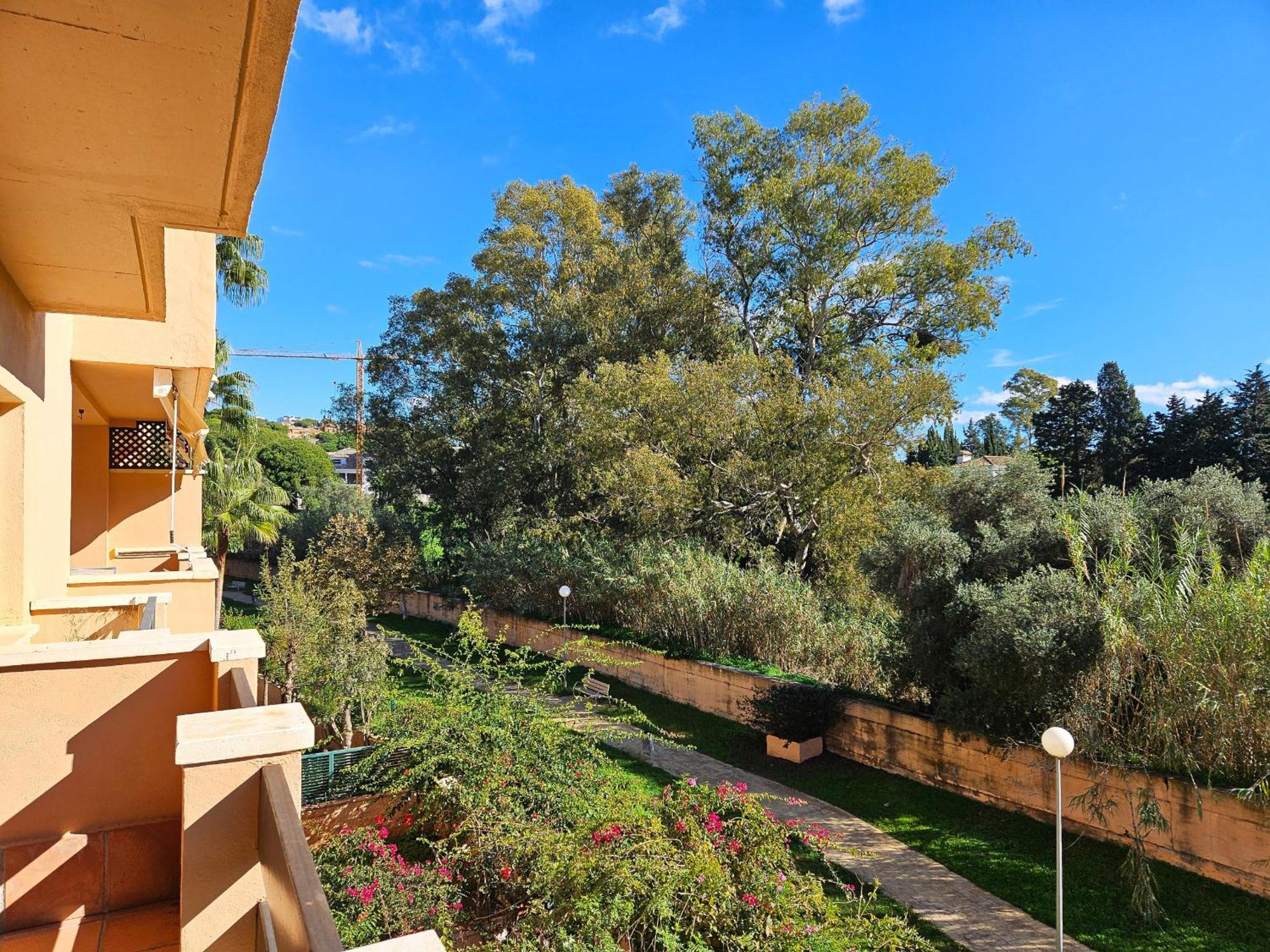 Three Bedroom In Chapas Apartment *